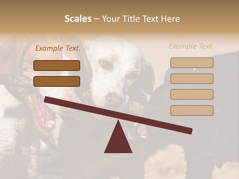 Animal Racing Active PowerPoint Template