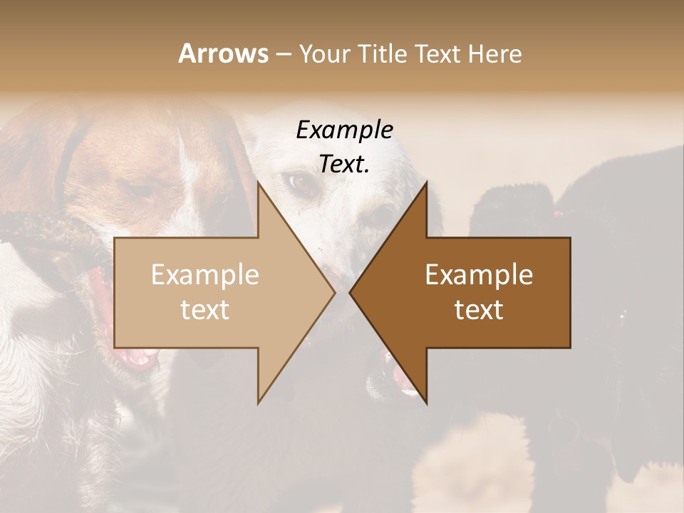Animal Racing Active PowerPoint Template
