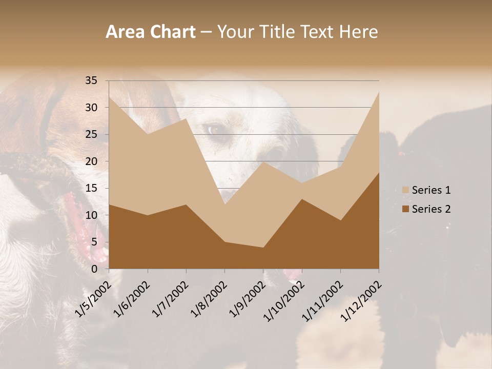 Animal Racing Active PowerPoint Template