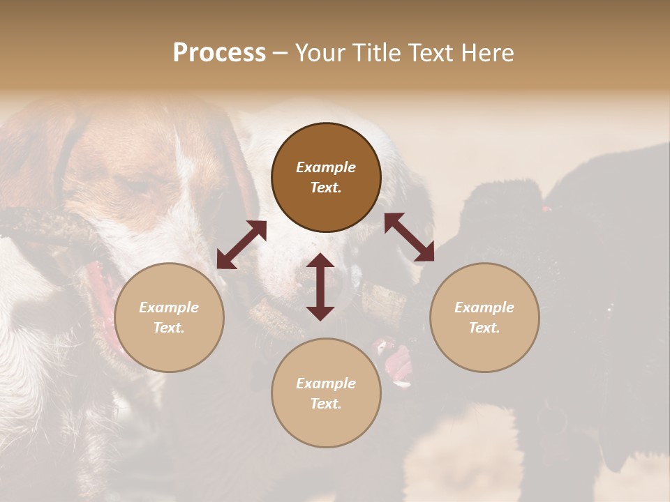 Animal Racing Active PowerPoint Template