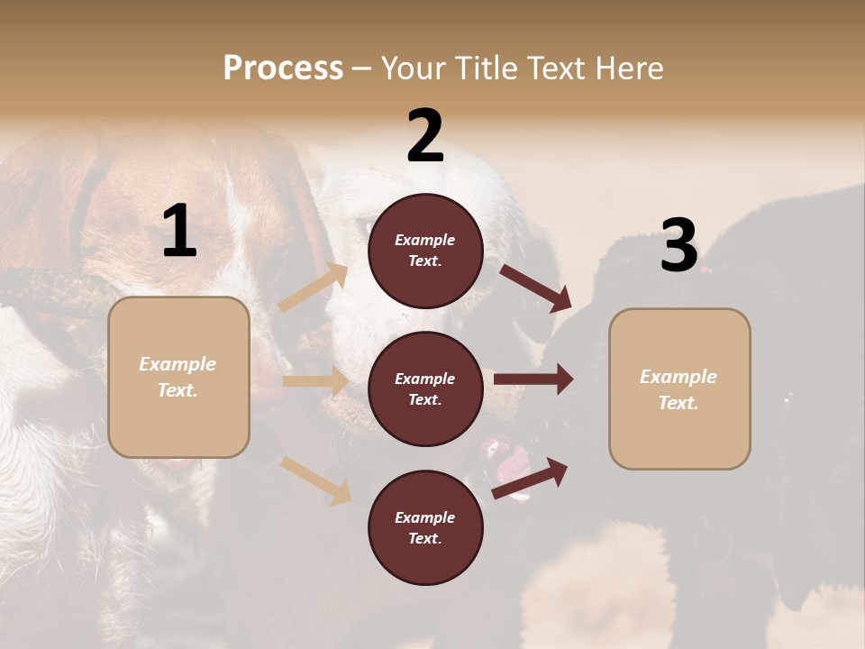 Animal Racing Active PowerPoint Template