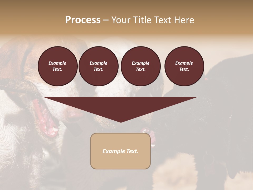Animal Racing Active PowerPoint Template