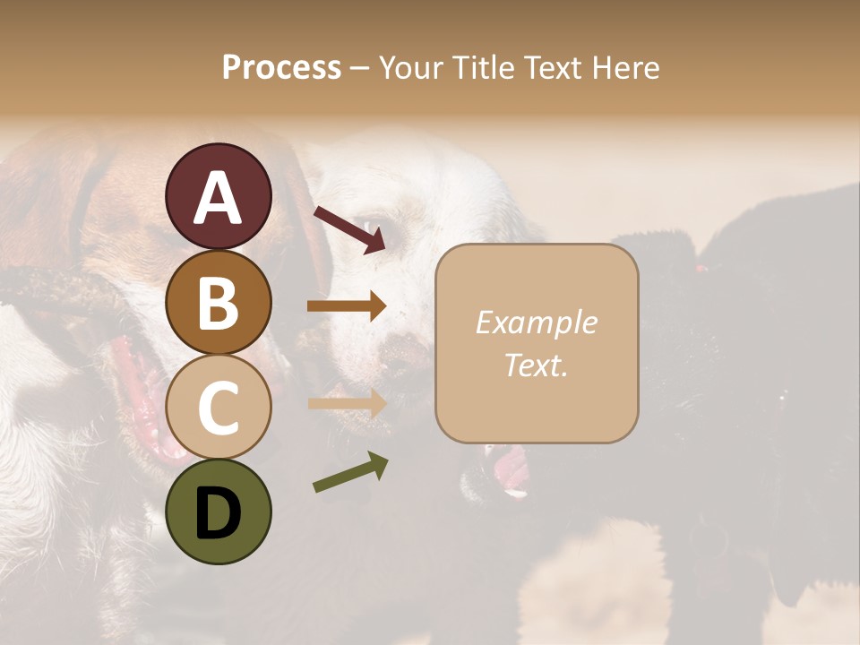 Animal Racing Active PowerPoint Template