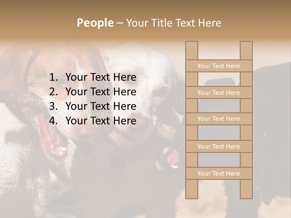 Animal Racing Active PowerPoint Template