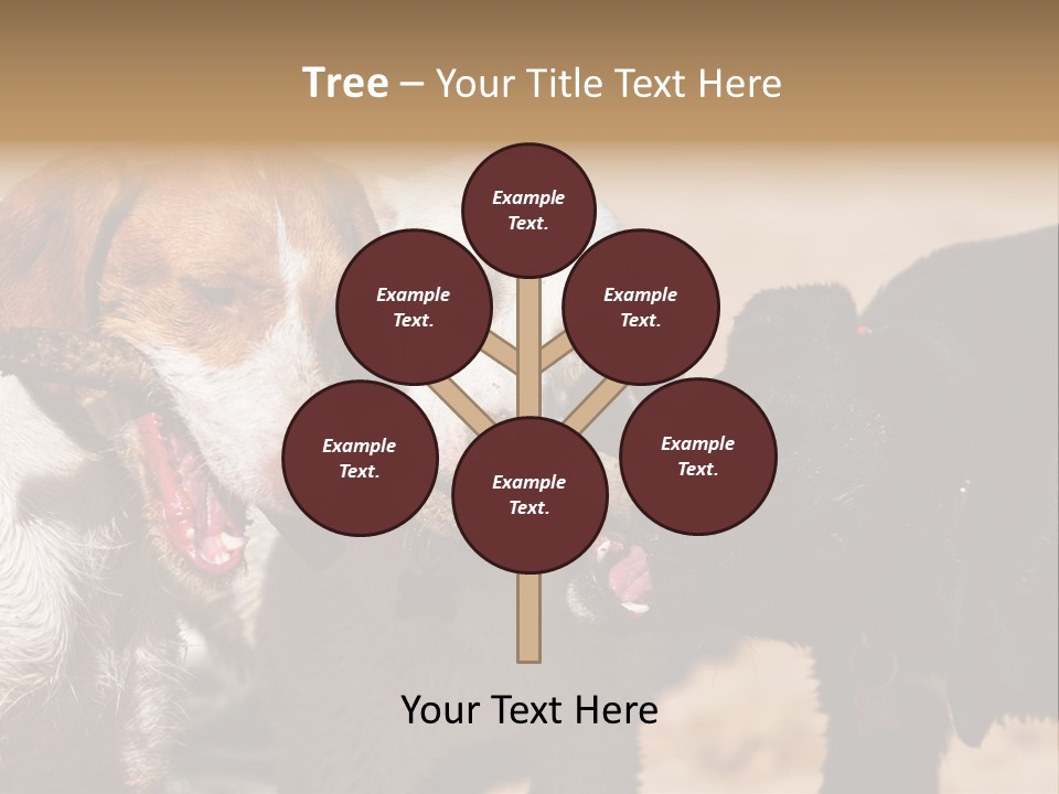 Animal Racing Active PowerPoint Template