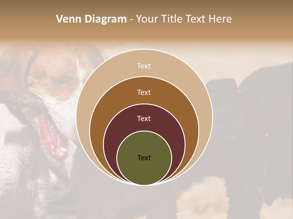 Animal Racing Active PowerPoint Template