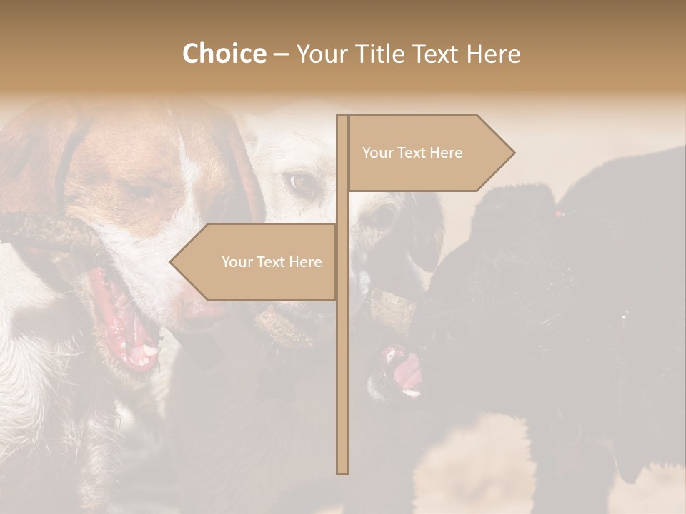 Animal Racing Active PowerPoint Template