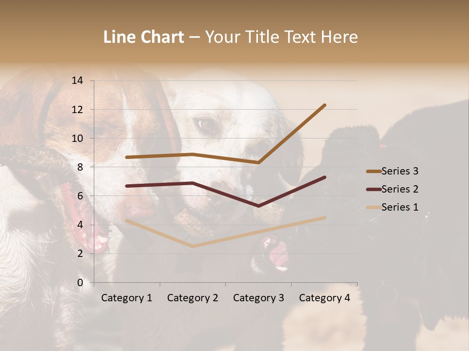 Animal Racing Active PowerPoint Template