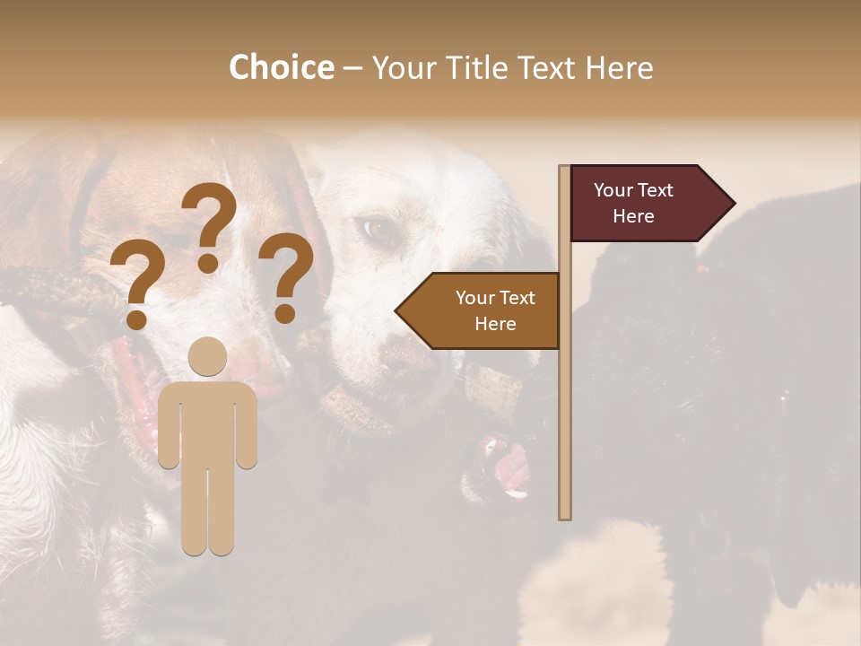 Animal Racing Active PowerPoint Template
