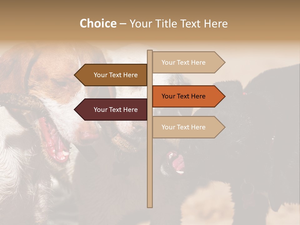 Animal Racing Active PowerPoint Template