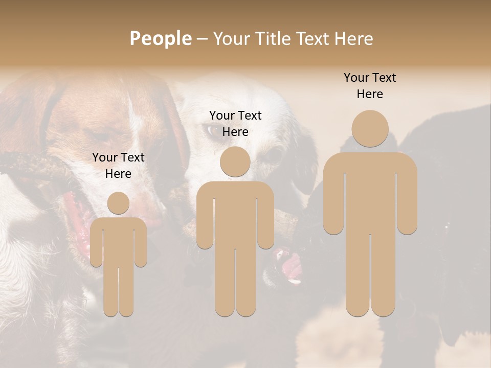 Animal Racing Active PowerPoint Template