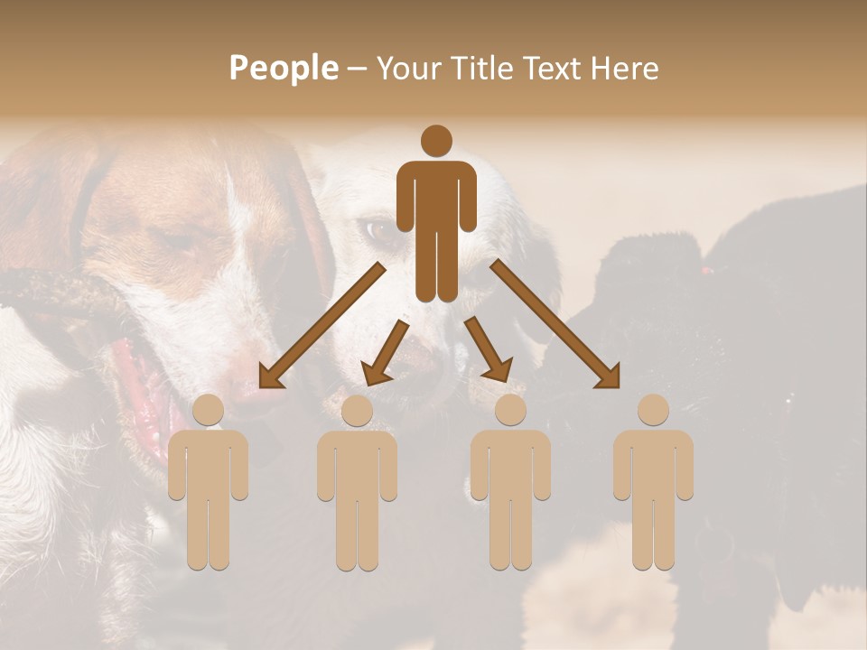 Animal Racing Active PowerPoint Template