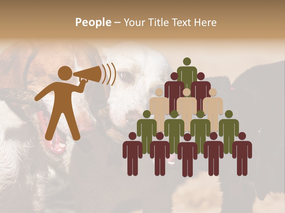 Animal Racing Active PowerPoint Template