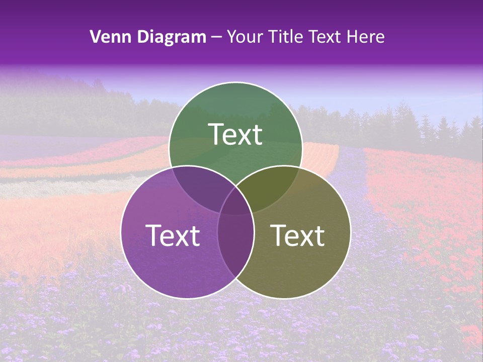 Leisure Construction Toy PowerPoint Template