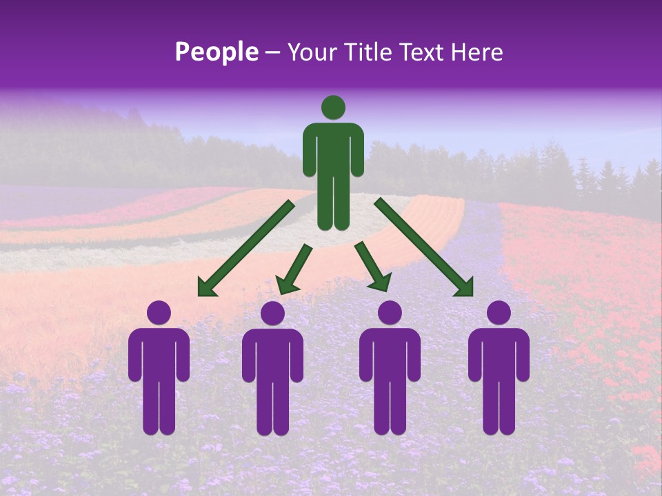 Leisure Construction Toy PowerPoint Template