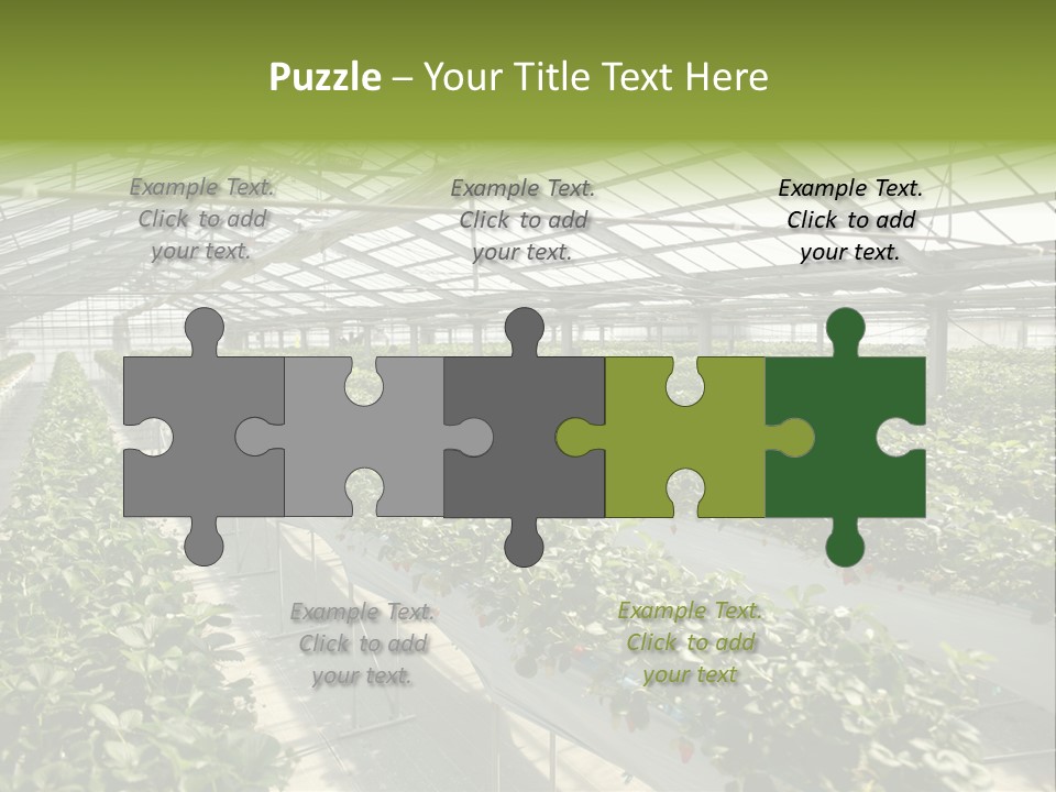 Fun Fast Hobby PowerPoint Template