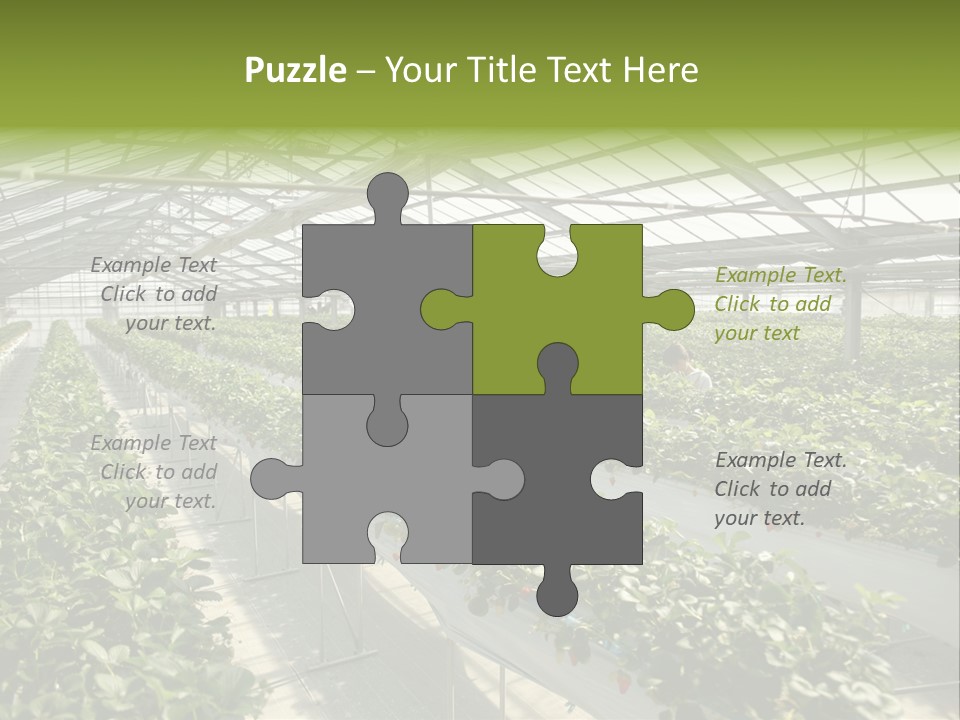 Fun Fast Hobby PowerPoint Template