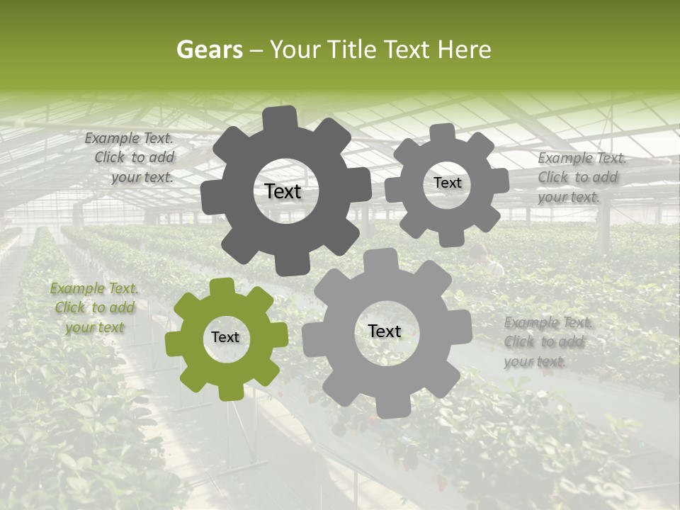 Fun Fast Hobby PowerPoint Template