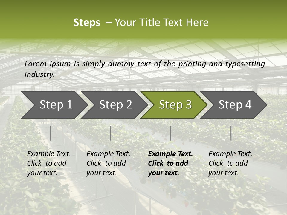 Fun Fast Hobby PowerPoint Template