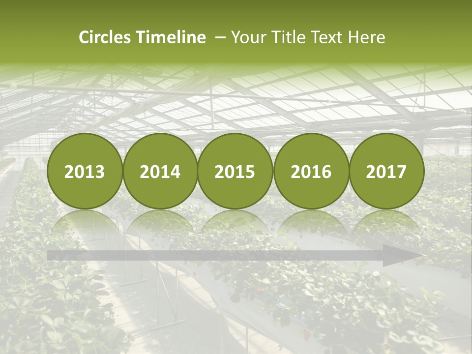 Fun Fast Hobby PowerPoint Template