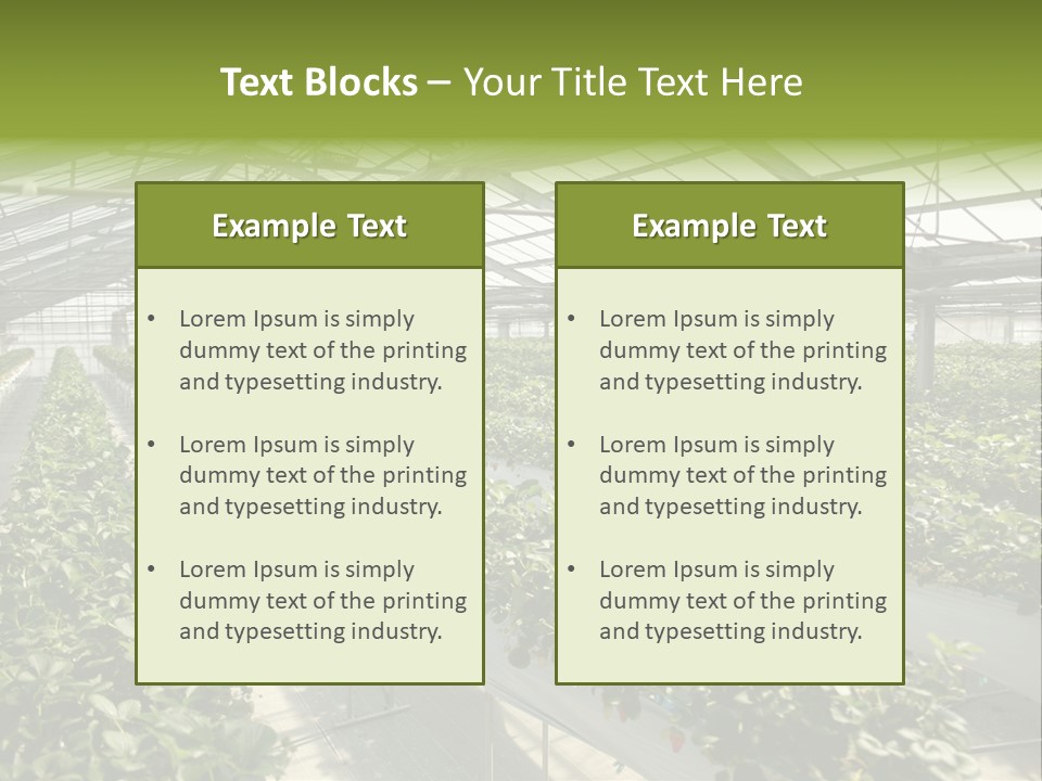 Fun Fast Hobby PowerPoint Template