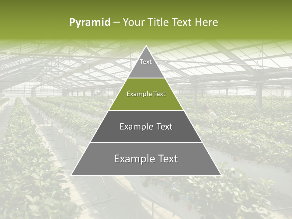 Fun Fast Hobby PowerPoint Template