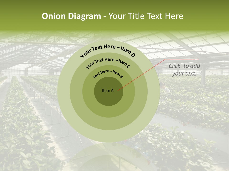 Fun Fast Hobby PowerPoint Template