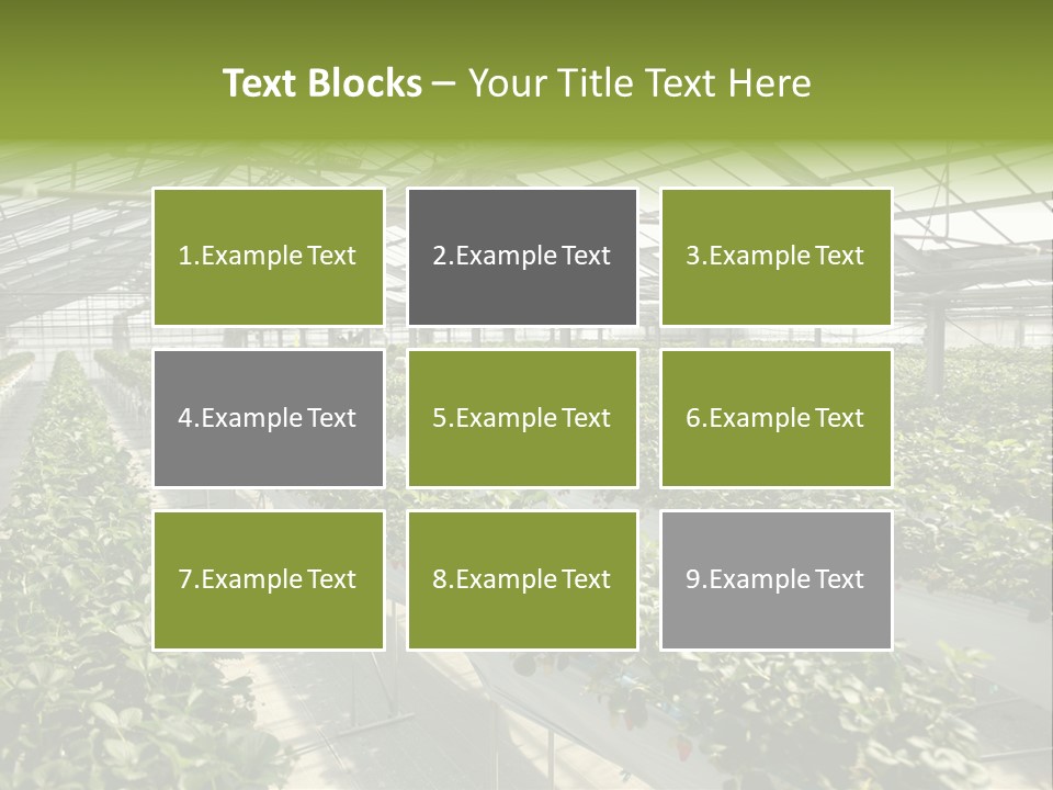 Fun Fast Hobby PowerPoint Template