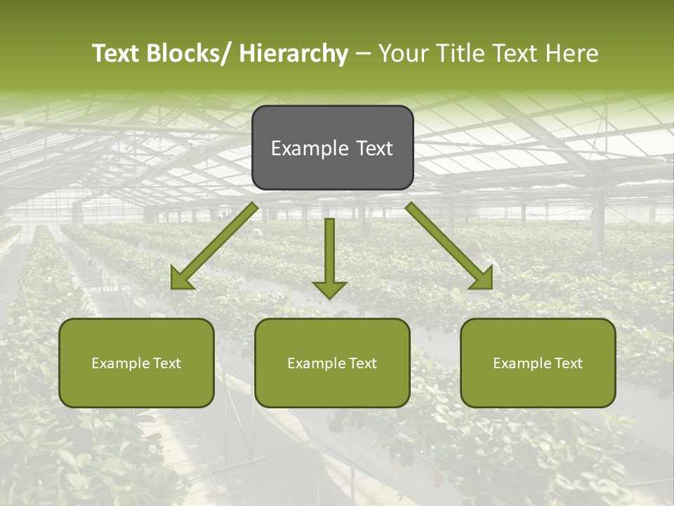 Fun Fast Hobby PowerPoint Template