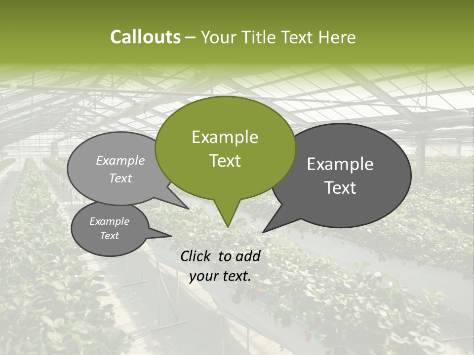 Fun Fast Hobby PowerPoint Template