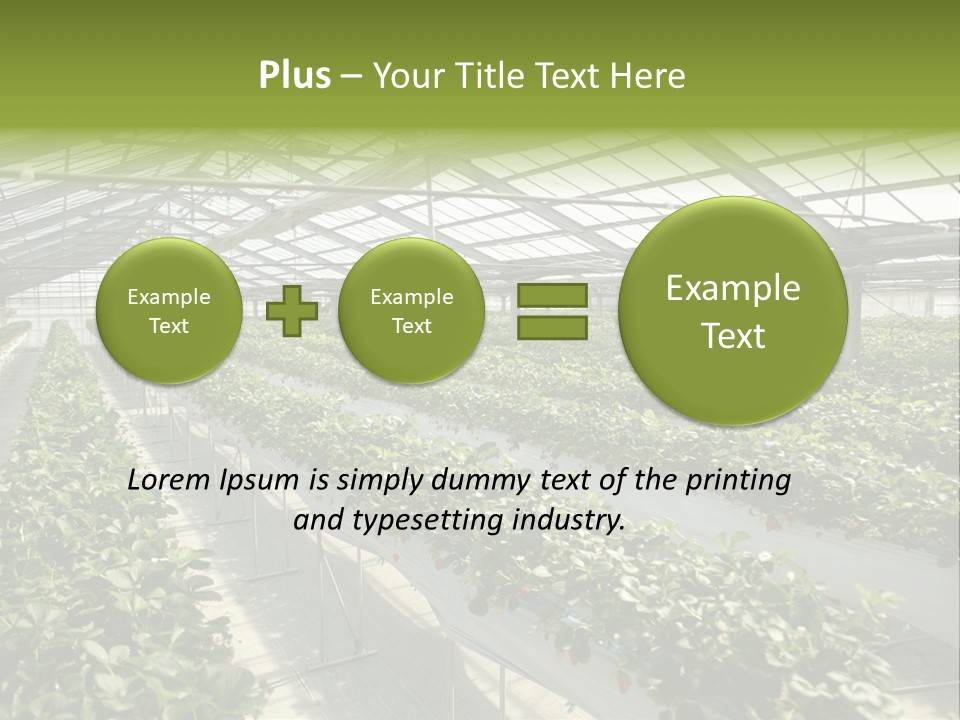 Fun Fast Hobby PowerPoint Template