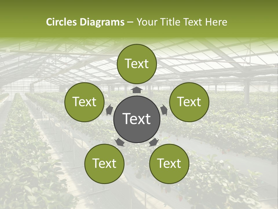 Fun Fast Hobby PowerPoint Template