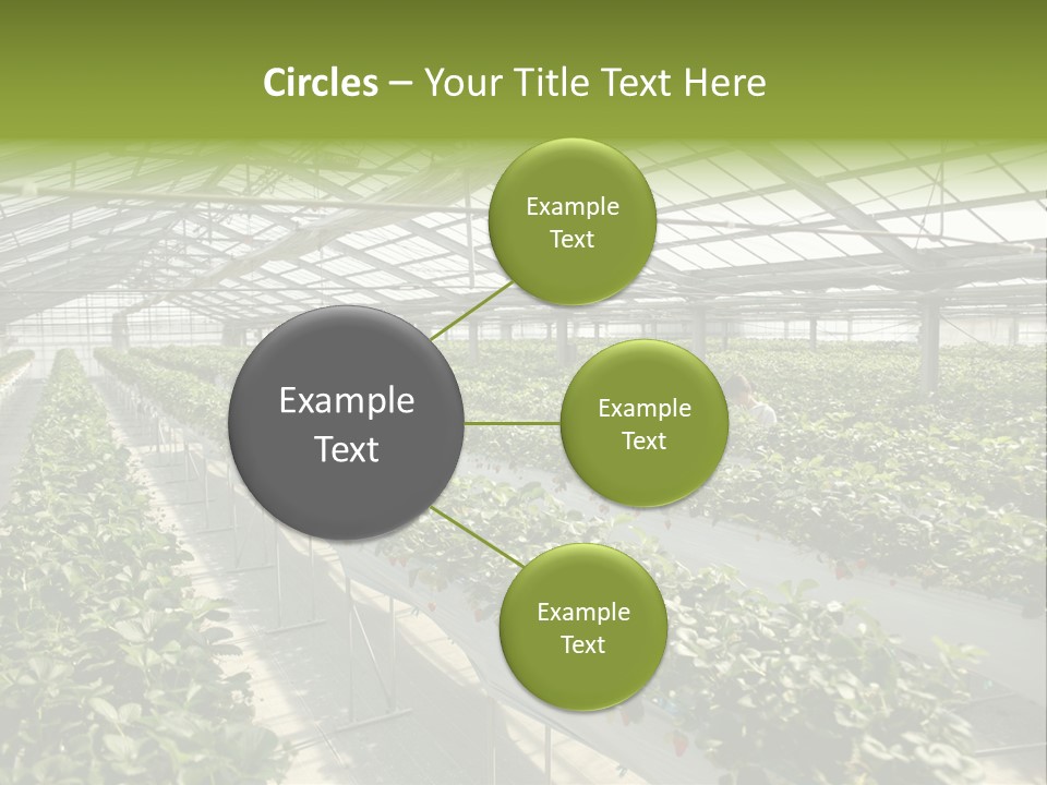 Fun Fast Hobby PowerPoint Template
