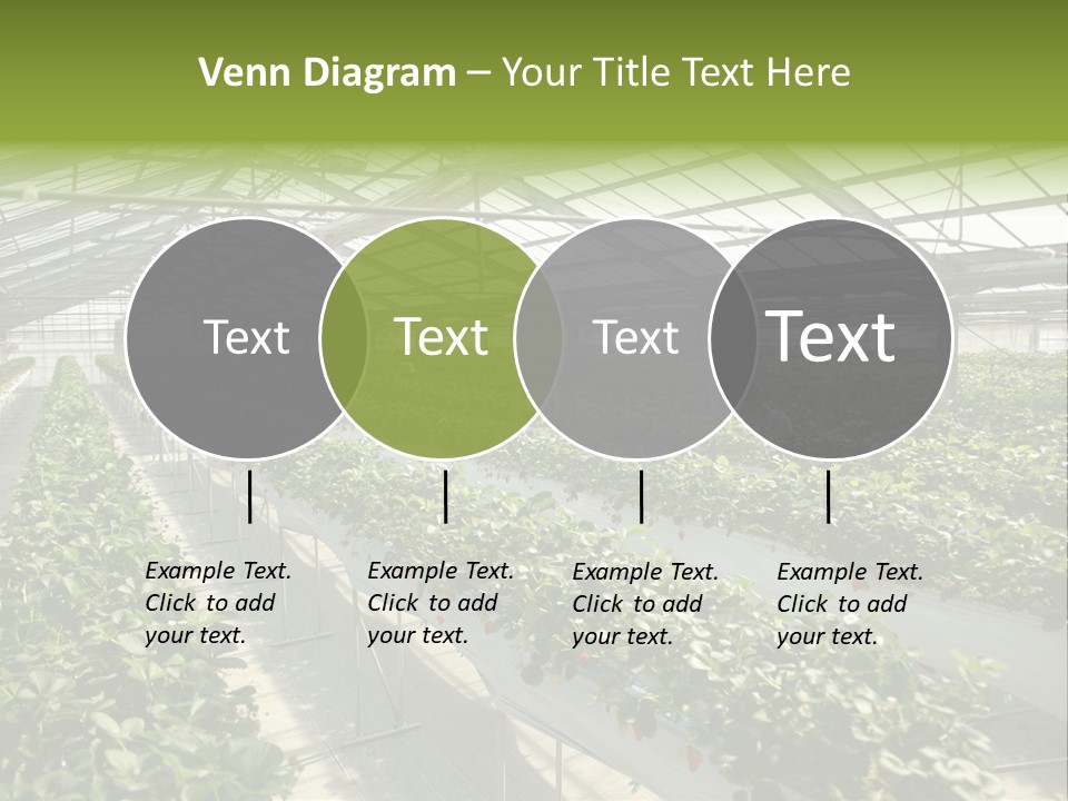 Fun Fast Hobby PowerPoint Template