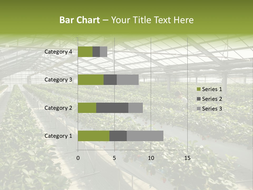 Fun Fast Hobby PowerPoint Template
