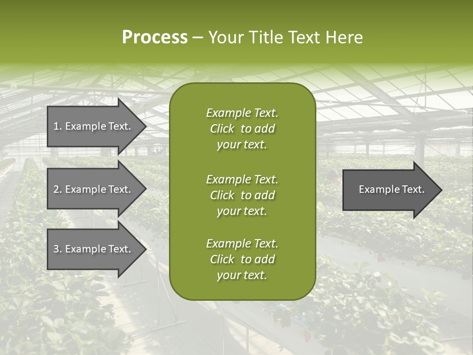 Fun Fast Hobby PowerPoint Template