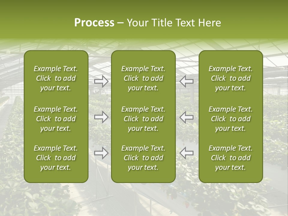 Fun Fast Hobby PowerPoint Template