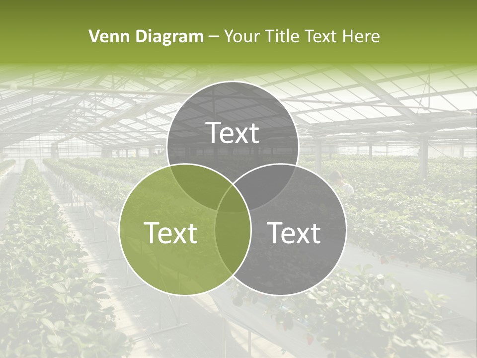 Fun Fast Hobby PowerPoint Template