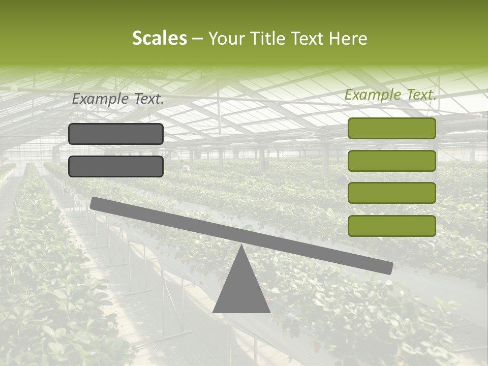 Fun Fast Hobby PowerPoint Template