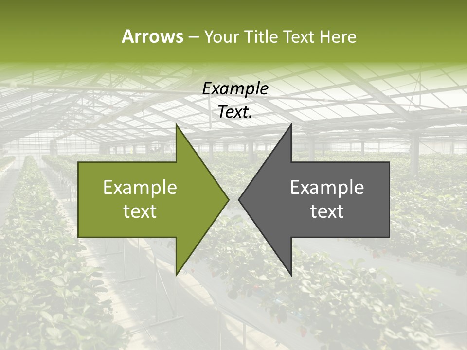 Fun Fast Hobby PowerPoint Template