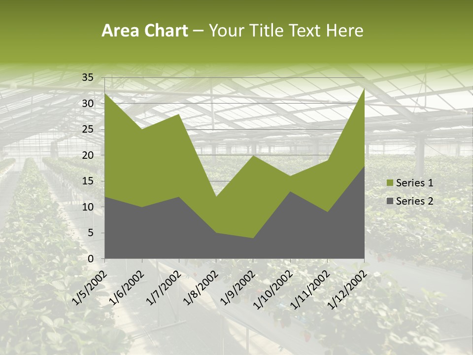 Fun Fast Hobby PowerPoint Template