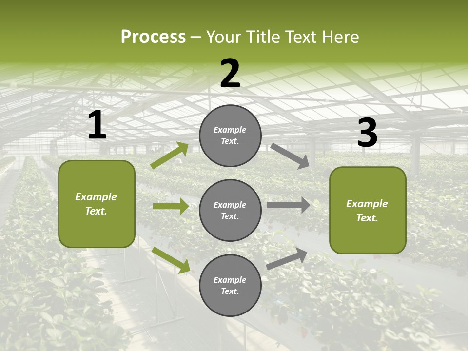 Fun Fast Hobby PowerPoint Template