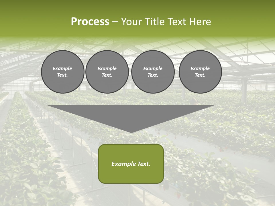 Fun Fast Hobby PowerPoint Template