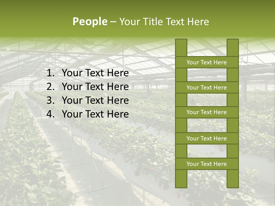 Fun Fast Hobby PowerPoint Template