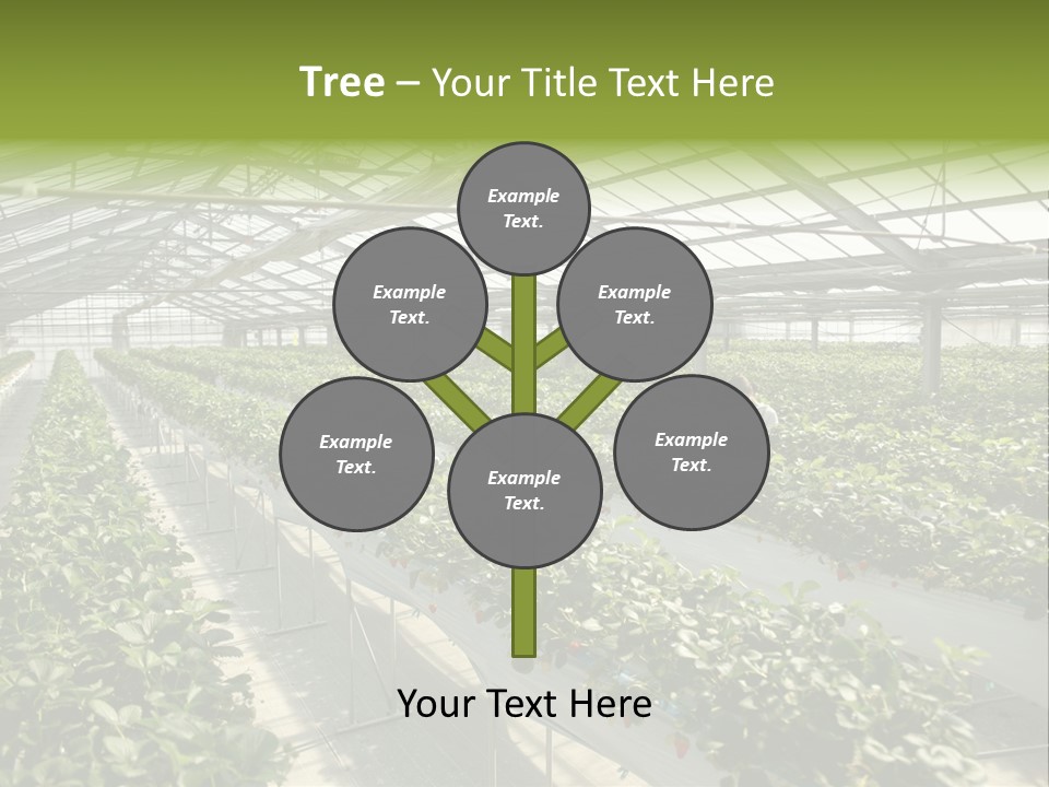 Fun Fast Hobby PowerPoint Template