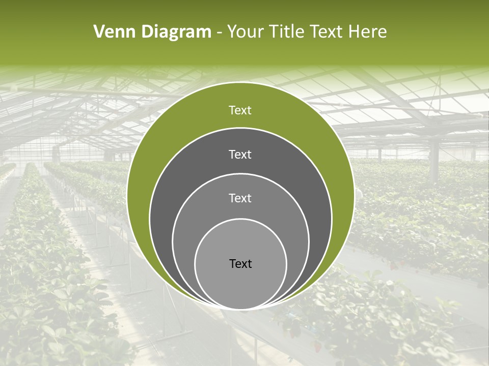 Fun Fast Hobby PowerPoint Template