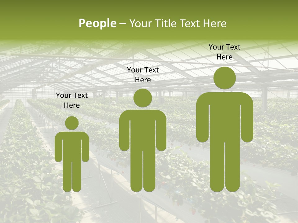 Fun Fast Hobby PowerPoint Template