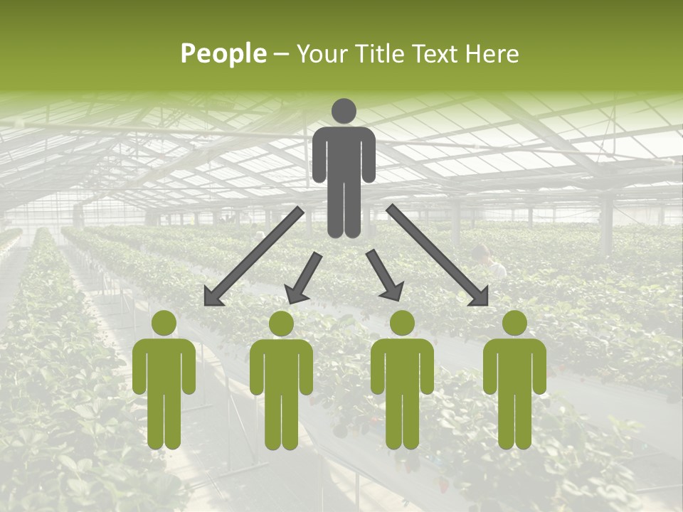 Fun Fast Hobby PowerPoint Template