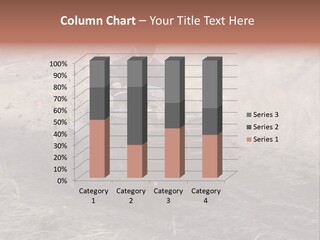 Fun Fast Hobby PowerPoint Template