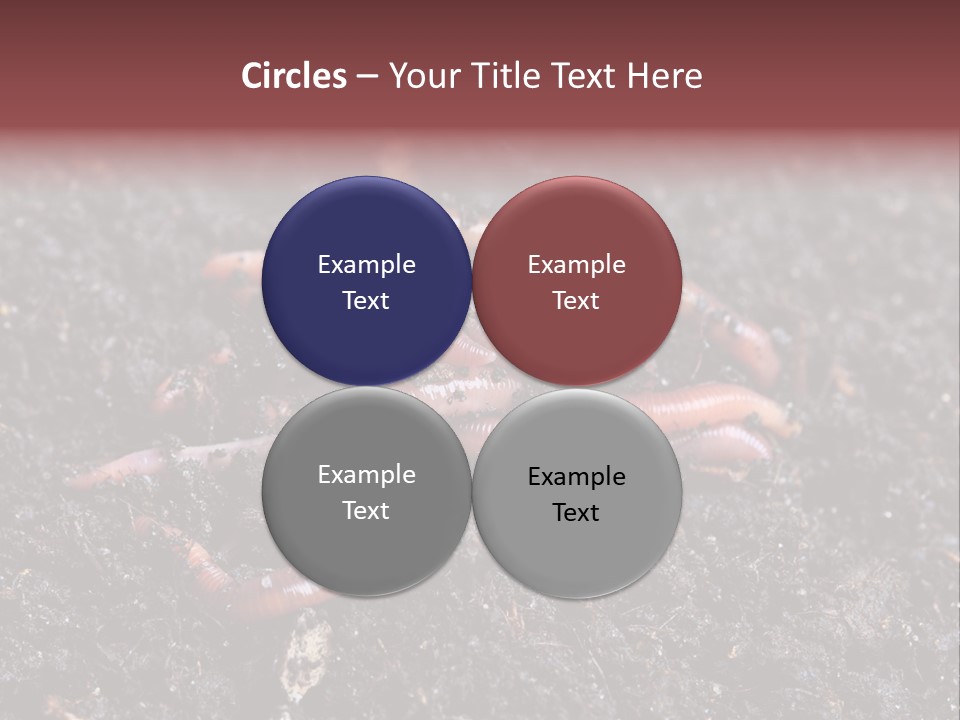 Group Agriculture Rain PowerPoint Template